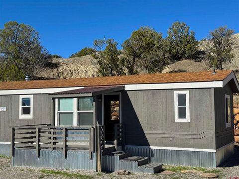 5287 CR 213 Durango CO 81303