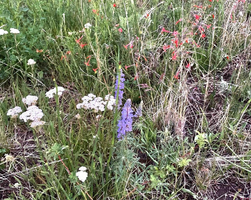 Gunnison, Colorado 81230, United States, 4 Bedrooms Bedrooms, ,3 BathroomsBathrooms,Residential,Active,147345