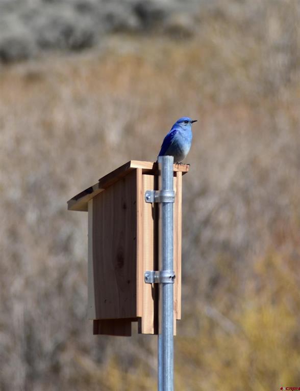 Gunnison, Colorado 81230, United States, 4 Bedrooms Bedrooms, ,3 BathroomsBathrooms,Residential,Active,147345