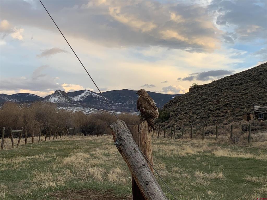 Gunnison, Colorado 81230, United States, 4 Bedrooms Bedrooms, ,3 BathroomsBathrooms,Residential,Active,147345