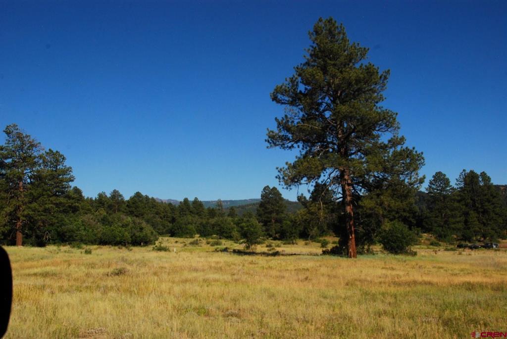 X US Hwy 84 #115