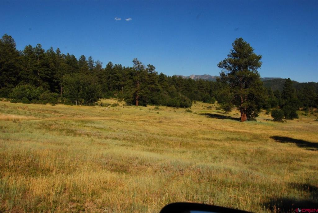 X US Hwy 84 #115