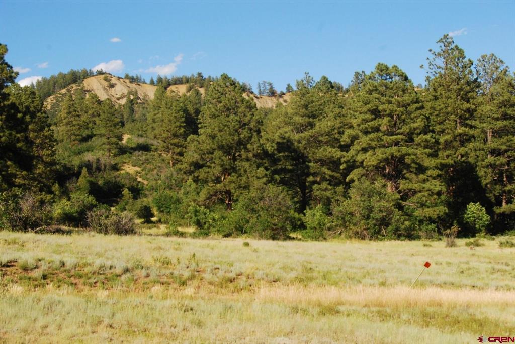 X US Hwy 84 #115
