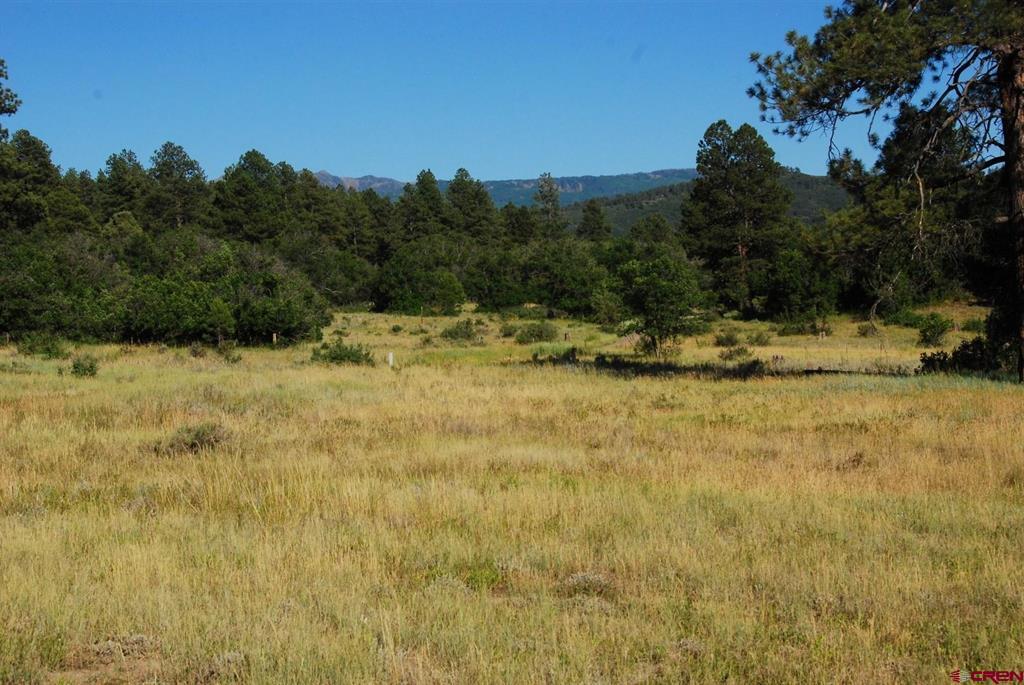 X US Hwy 84 #115
