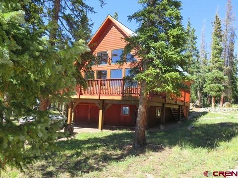 380 Forest Trail Pitkin CO 81241