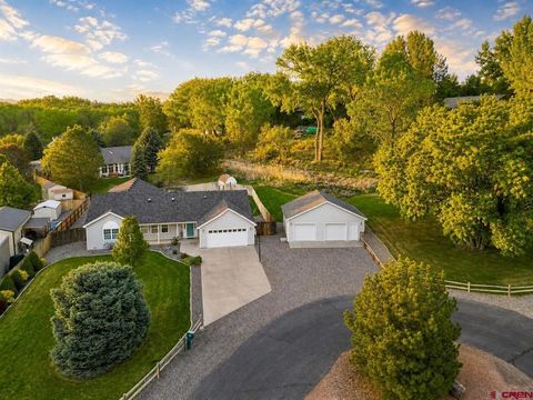 Photo of 960 Willow Wood Lane, Delta, CO 81416 (MLS # 834348)