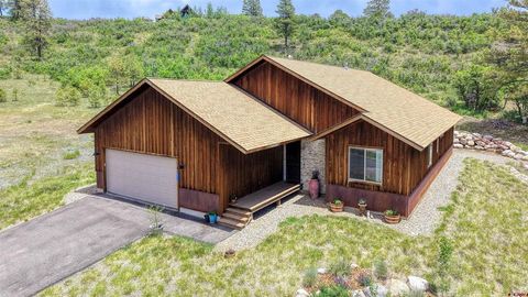 Photo of 453 Santino Place, Pagosa Springs, CO 81147 (MLS # 835666)
