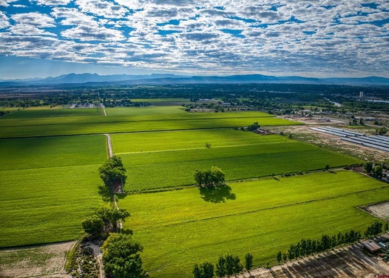 1449 HIGHWAY 50, DELTA, CO 81416 - Image 2b89b10977f08a6a856c83fc8eb97bd2/2441071542