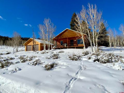 1019 Uncompahgre Drive Powderhorn CO 81243
