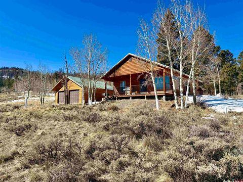 Photo of 1019 Uncompahgre Drive, Powderhorn, CO 81243 (MLS # 831295)