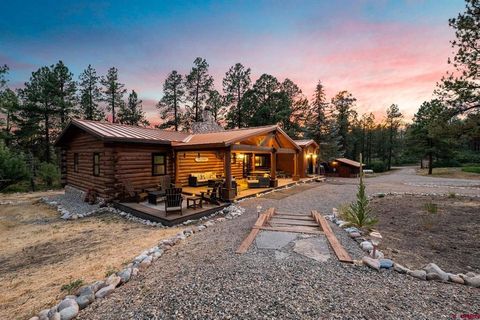 31861 Hwy. 160 Unit C Bayfield CO 81122