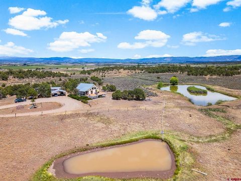 63 Sagewood Drive Ignacio CO 81137