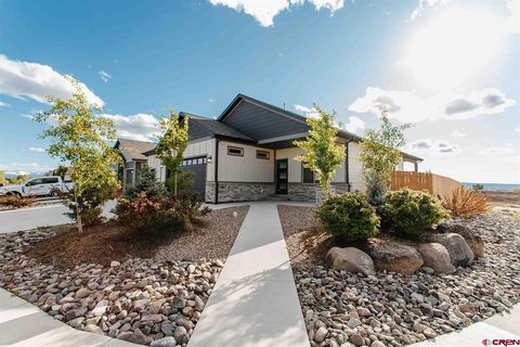 Photo of 1549 Excelsior Creek Avenue, Montrose, CO 81401 (MLS # 833755)