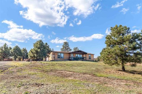 37 Musket Court Pagosa Springs CO 81147