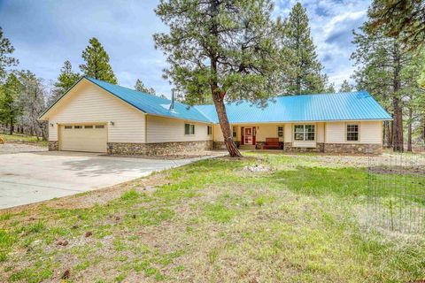 Photo of 1160 Majestic Drive, Pagosa Springs, CO 81147 (MLS # 834822)