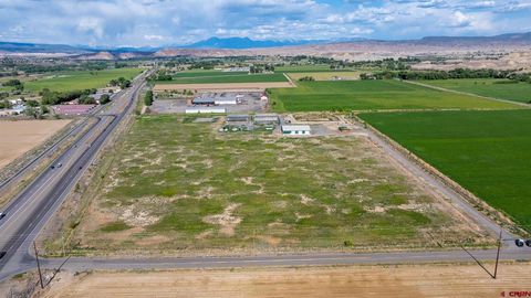 7190 1900 Road Delta CO 81416