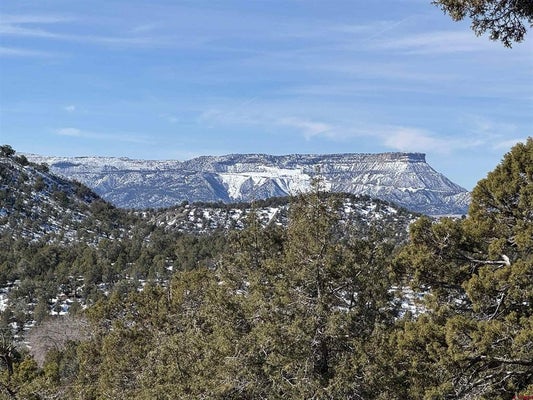 100 4TH ST, DOLORES, CO 81323 - Image 2c6231dbadfa29857e4fcf96f32c3bdb/2566890292