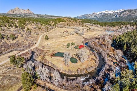 6651 County Road 382 Pagosa Springs CO 81128