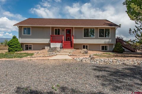 8555 Coffey Road Austin CO 81410