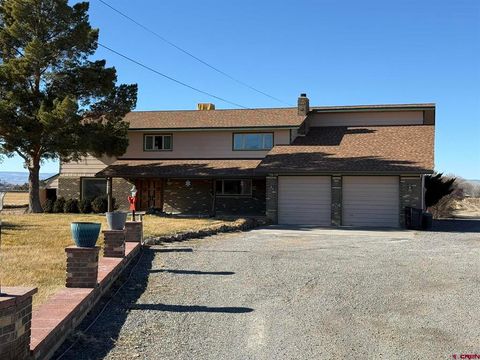 Photo of 1405 Pioneer Road, Delta, CO 81416 (MLS # 830709)