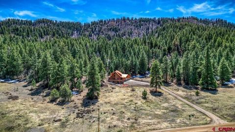 2535 Loma Linda Drive Pagosa Springs CO 81147