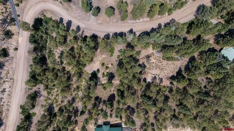 150 Pine Ridge Bayfield CO 81122