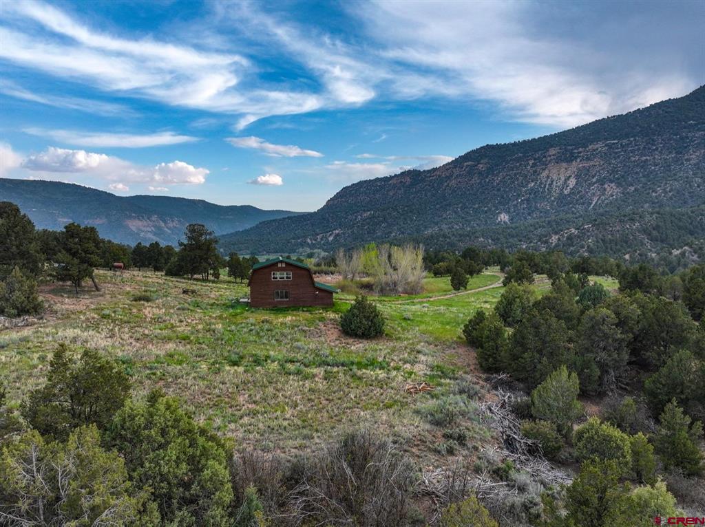 3217 County Rd 41