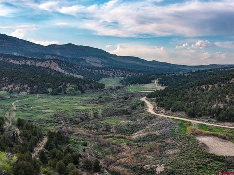 3217 County Rd 41 Mancos CO 81328