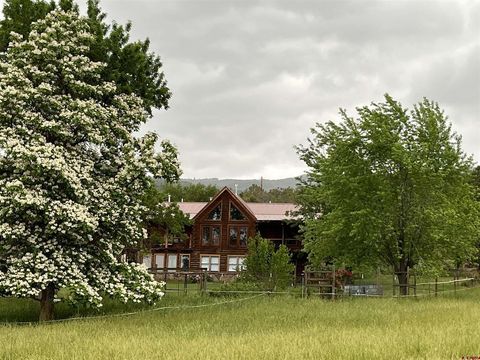 Photo of 19795 High Park Road, Cedaredge, CO 81413 (MLS # 833594)