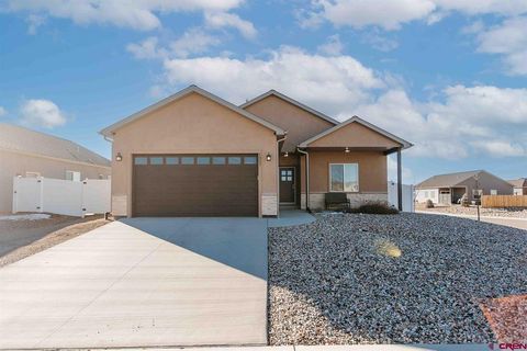 Photo of 1357 Fivemile Creek Avenue, Montrose, CO 81401 (MLS # 831500)