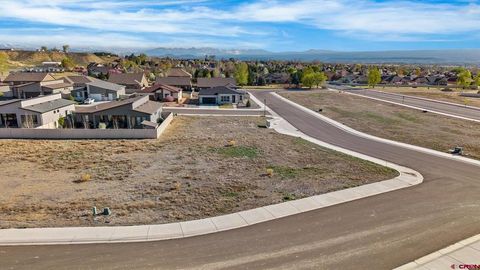 Photo of 113 TBD Apple Grove Street, Montrose, CO 81401 (MLS # 833031)