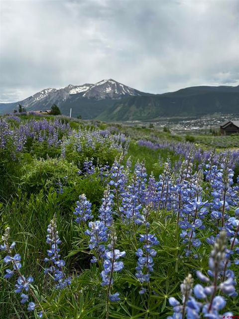 57 Summit Road Mt. Crested Butte CO 81225
