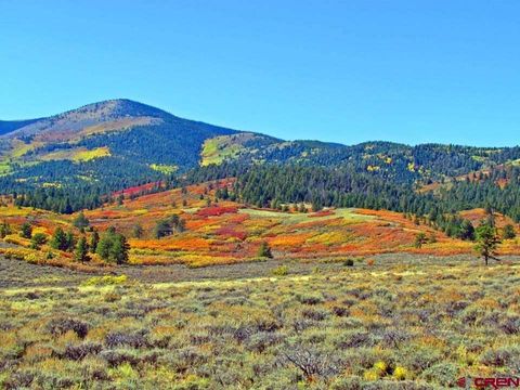Vacant Highway 285 Villa Grove CO 81155