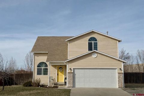 Photo of 1519 Haystack Road, Montrose, CO 81401 (MLS # 832462)