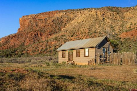 Photo of 9500 CO-90 Highway, Bedrock, CO 81411 (MLS # 834432)