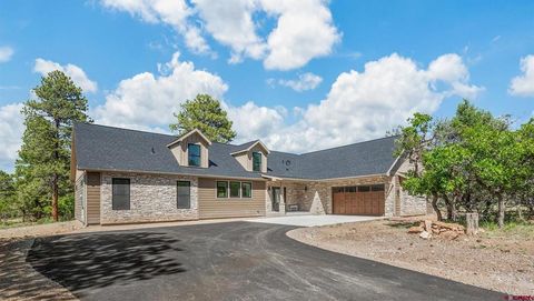 152 Puma Lane Ridgway CO 81432