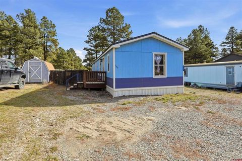 549 Lake St. Pagosa Springs CO 81147