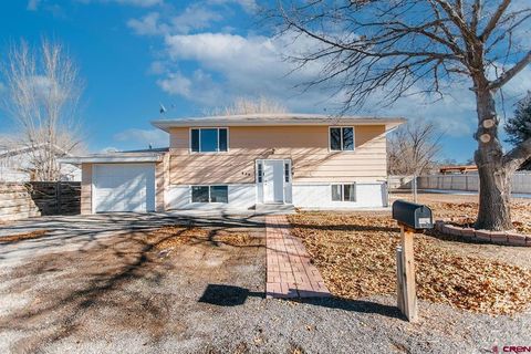 Photo of 820 Jenson Drive, Delta, CO 81416 (MLS # 830377)