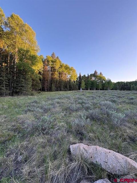 Photo of 2150 Spruce Road, Cimarron, CO 81220 (MLS # 834303)