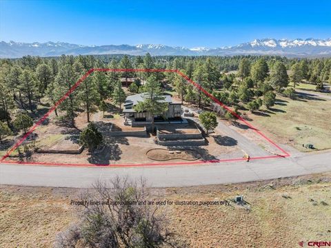 Photo of 176 Bear Cub Drive, Ridgway, CO 81432 (MLS # 834127)
