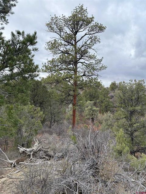 1479 la Posta Canyon Road Durango CO 81303