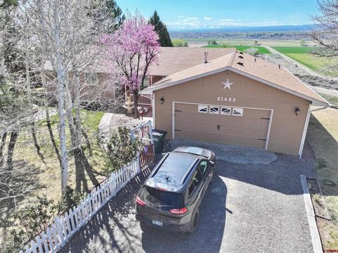Photo of 61460 Epitaph Road, Montrose, CO 81403 (MLS # 833042)