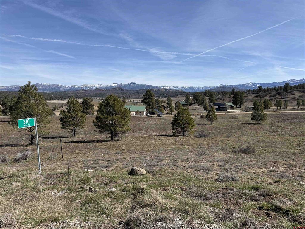 Photo 1 of 17 — 310 Echo Drive, Pagosa Springs, CO 81147
