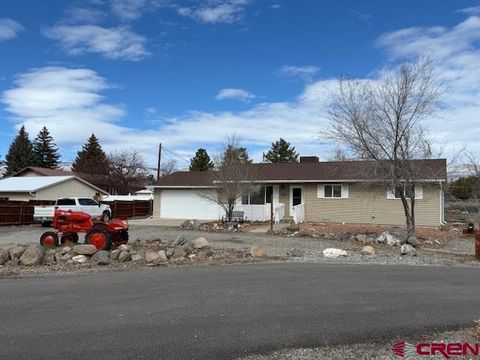 Photo of 470 NE Elder Court, Cedaredge, CO 81413 (MLS # 831888)