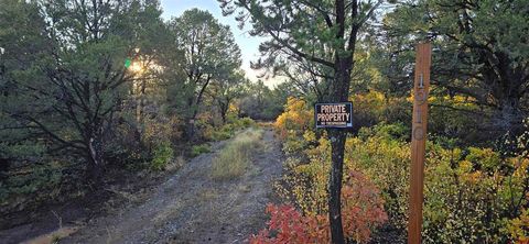 Photo of 1910 Bible Camp Road, Montrose, CO 81427 (MLS # 828858)