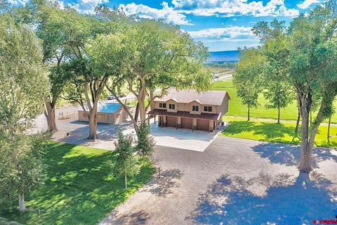 5345 Highway 348 Olathe CO 81425