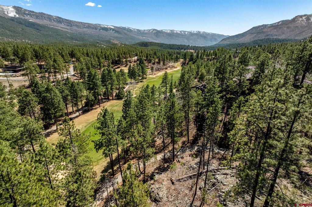 91 Ambush Canyon