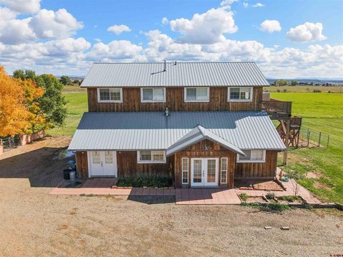 20750 Road W.8, Tract 3 Lewis CO 81327