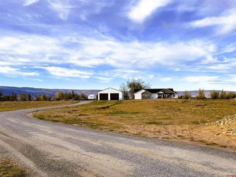 8585 Ellens Way Austin CO 81410