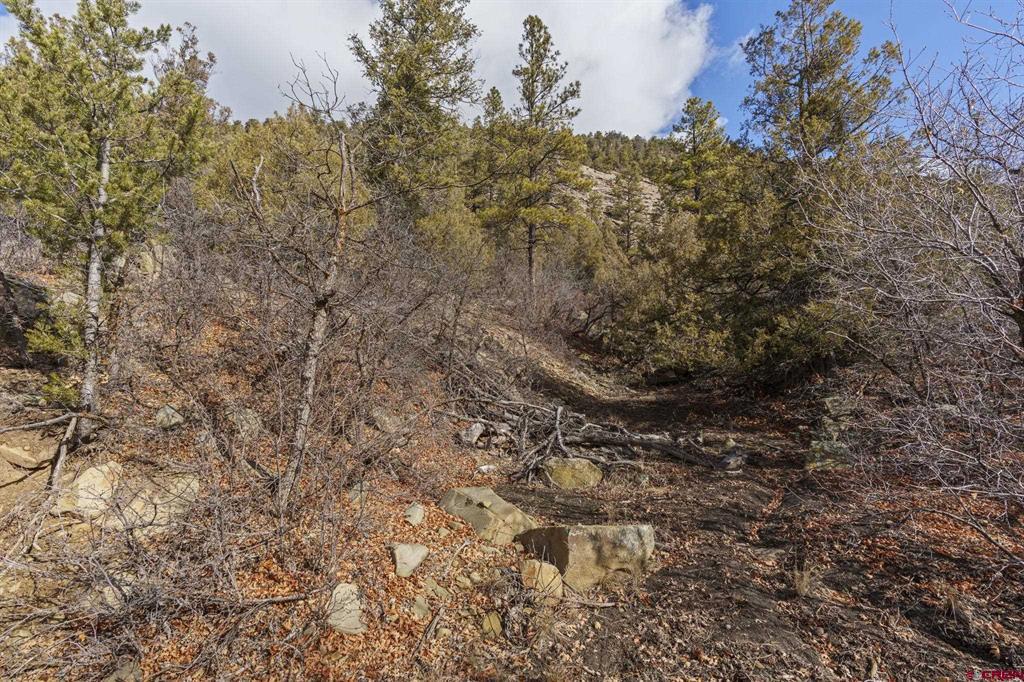 24800 Us Highway 160